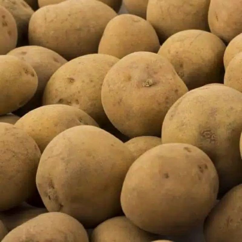 

Kentang Mentah Bulat 500 gr