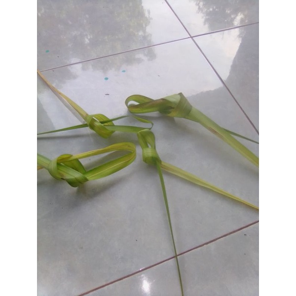 

Daun kelapa muda /daun buat ketupat lebaran isi 20 lebar