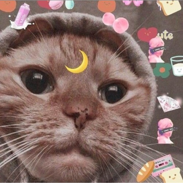 novitasalsabillayusuf