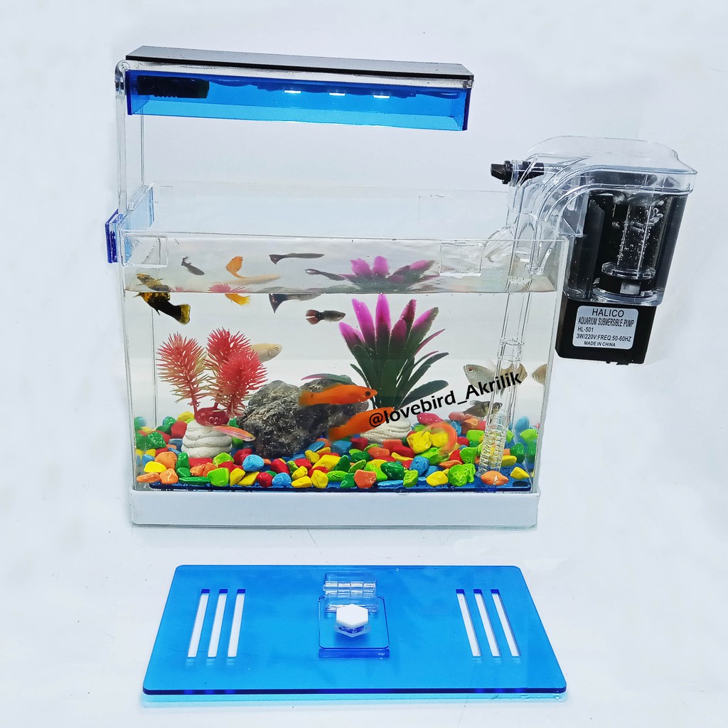 Aquarium Mini Aquarium Akrilik Aquarium Lengkap Aquarium Ikan Hias Mini Aquarium Aquarium Kecil Shopee Indonesia Aquarium akrilik 100 cm