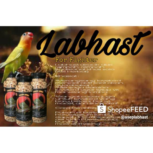 PAKAN LOMBA LOVEBIRD LABHAST