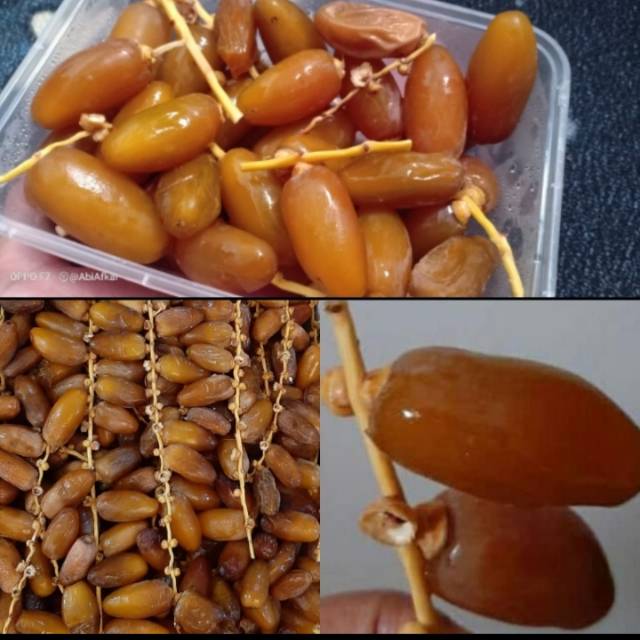 

Kurma ruthab libya nya