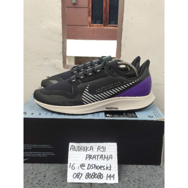 zoom pegasus 36 shield