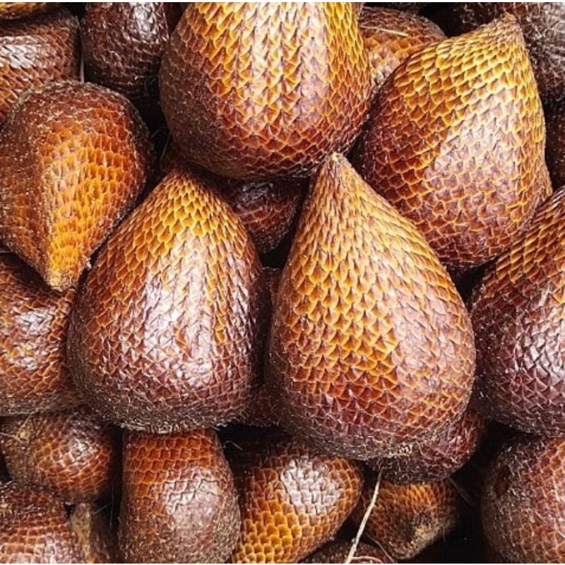 

SALAK PONDOH KG/BUAH SALAK PONDOH SUPER FRESH