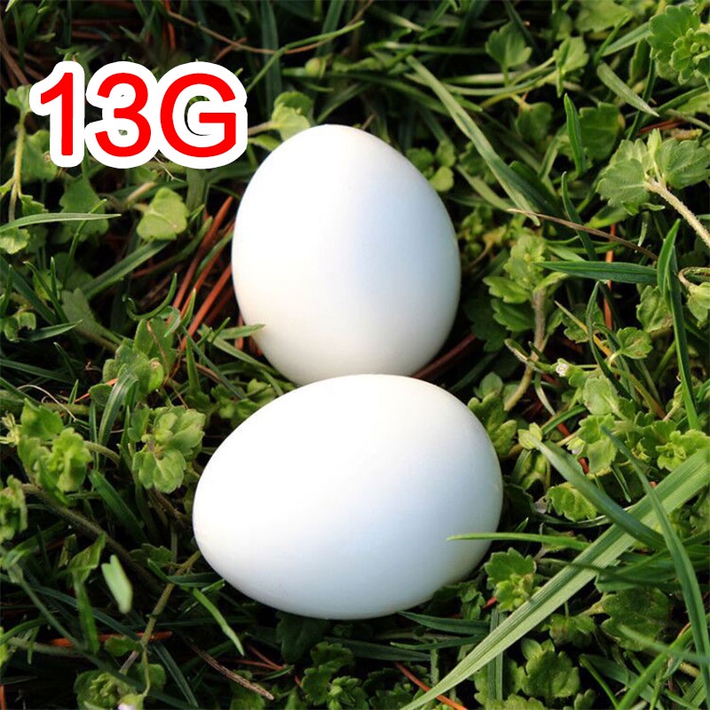 ★10pcs★ Telur Merpati Plastik Simulasi/Telur Merpati Palsu/Fake Pigeon Egg/Telur Mainan Burung Merpati/Telur Merpati Palsu