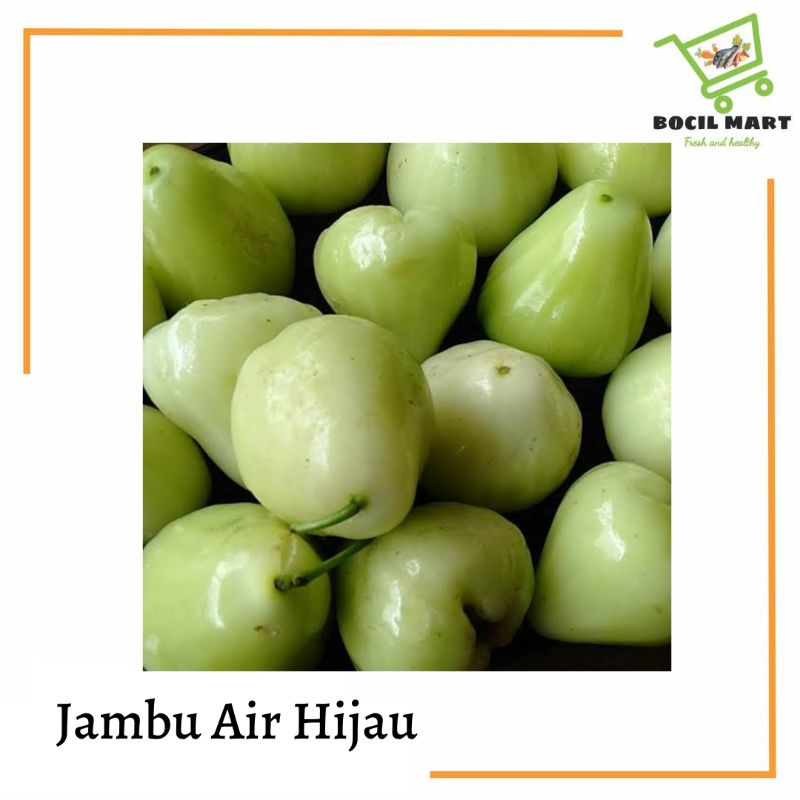 

JAMBU AIR HIJAU / JAMBU AIR APEL 1 KG BOCIL MART