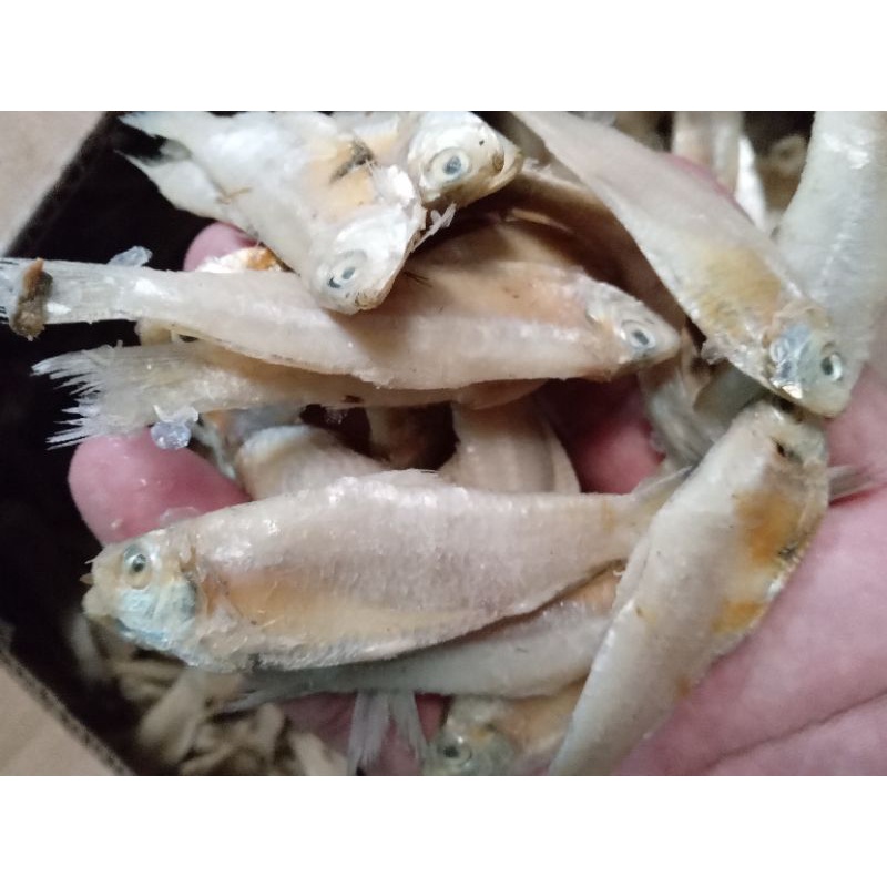 

Ikan Asin Lapan 1 kg