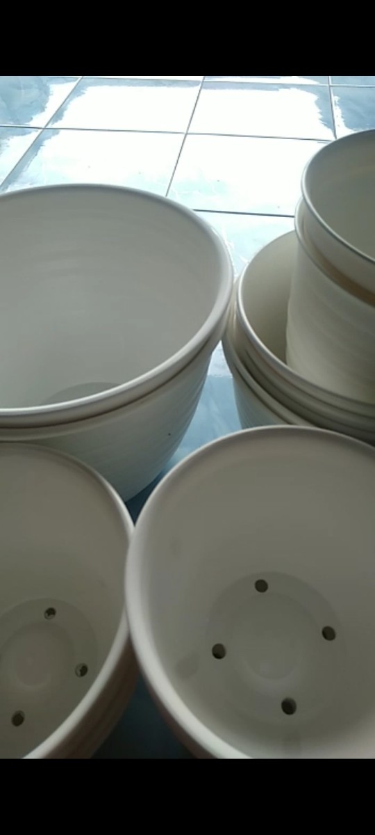 Ori 100% Pot Tawon Tinggi Pirus / Tirus 18 Cm + Tatakan Asli Budi Jaya Bjp Bunga Pupuk Daun Bibit