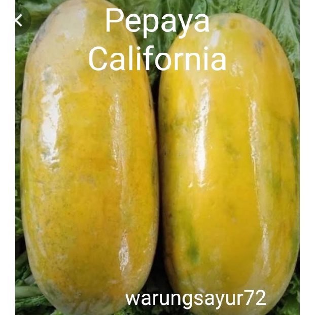 

Pepaya California