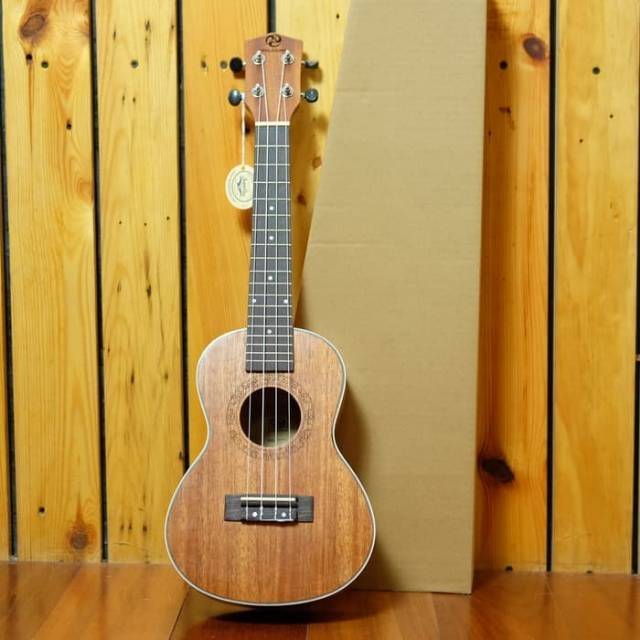 Gitar Ukulele Concerto Uk24T Brand Paladin