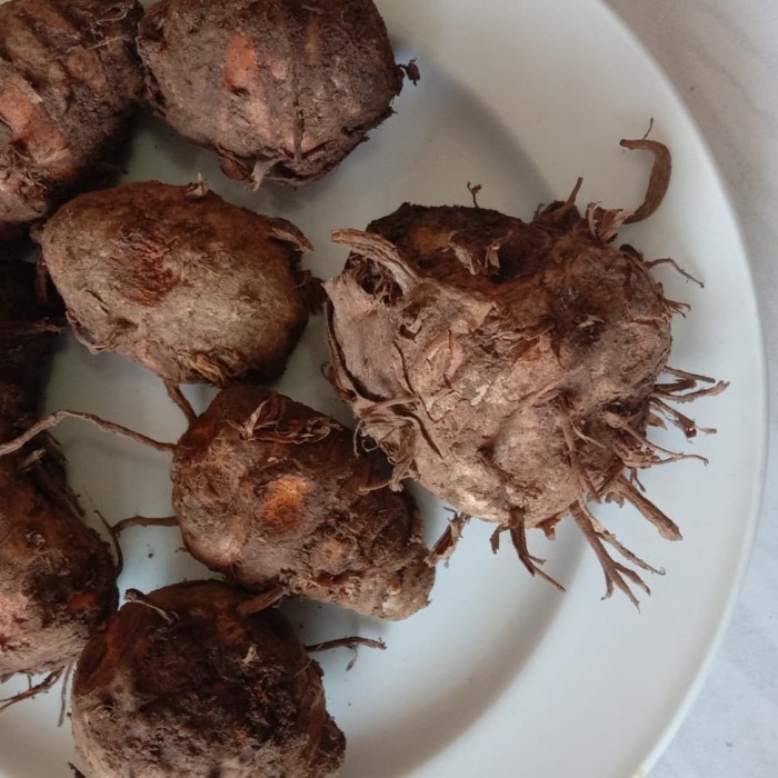 

tradisional-minuman- biang kunyit fresh dan segar 500gram -minuman-tradisional.