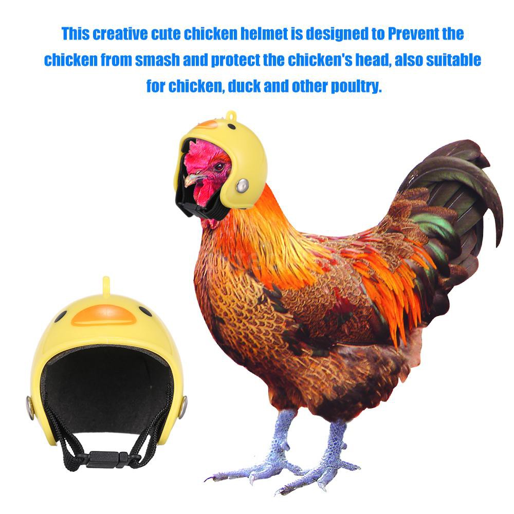 F T Helm Pelindung Kepala Anak Ayam Lucu Kreatif Adjustable F T Helm Pelindung Kepala Anak Ayam Lucu Kreatif Adjustable