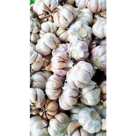 

bawang putih 1kg sico