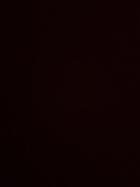 Ourpgone Karabiner Dengan Per Stainless Steel - Lc-1118