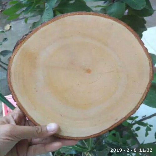 Wood Slice Potongan Kayu  Diameter 12 14 Shopee Indonesia