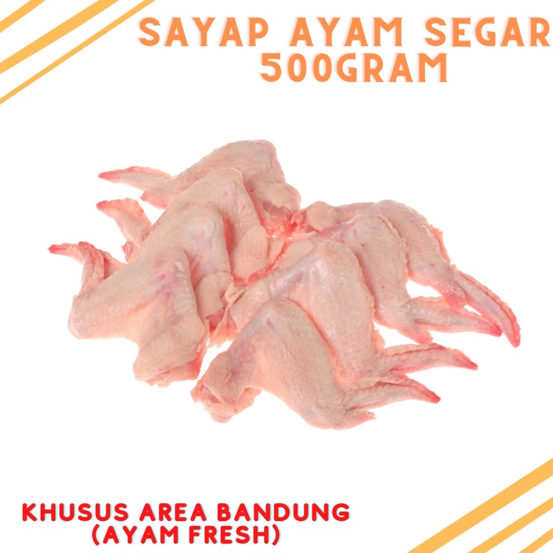 

Sayap ayam segar