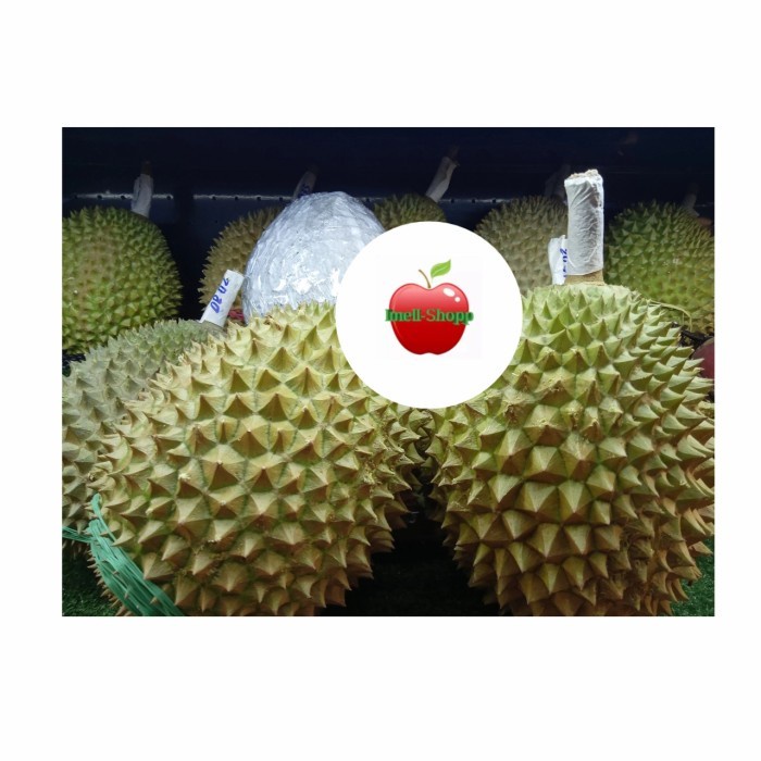 Durian Musang king Utuh Fresh | musang king malaysia no 1