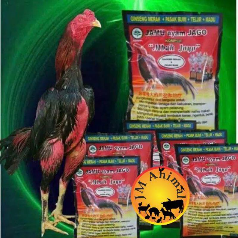 jamu ayam mbah Joyo jamu ayam aduan