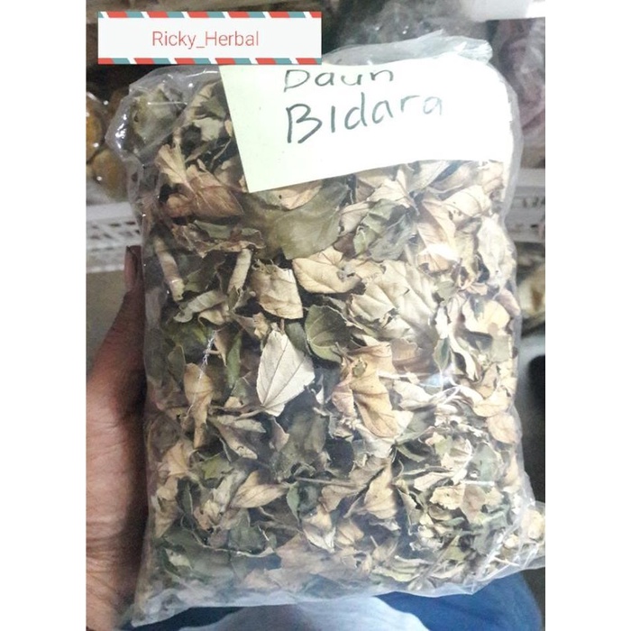 

Daun Bidara kering Asli dan Bagus 500 g (1/2 kg) Herbal Alami