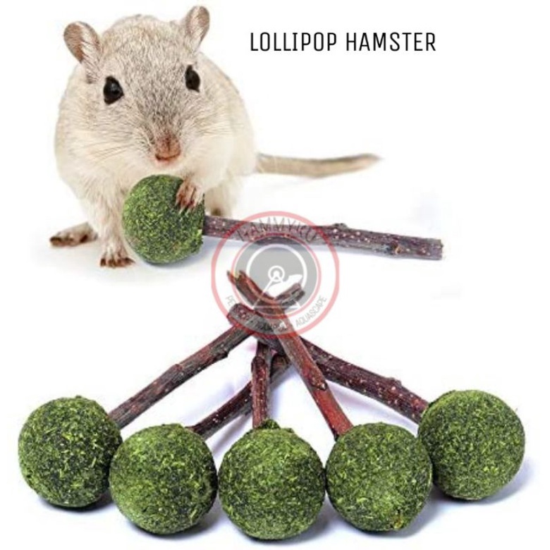 MAKANAN HAMSTER - SNACK HAMSTER - LOLLIPOP HAMSTER