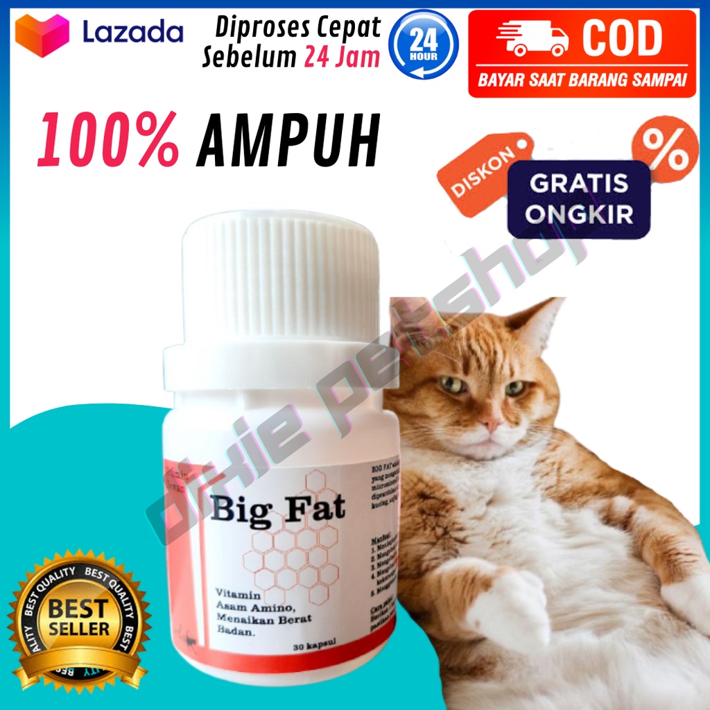 TERLARIS BIG FAT Vitamin Penggemuk Kucing BIG FAT Vitamin Penggemuk Badan Kucing Serupa Body Fat