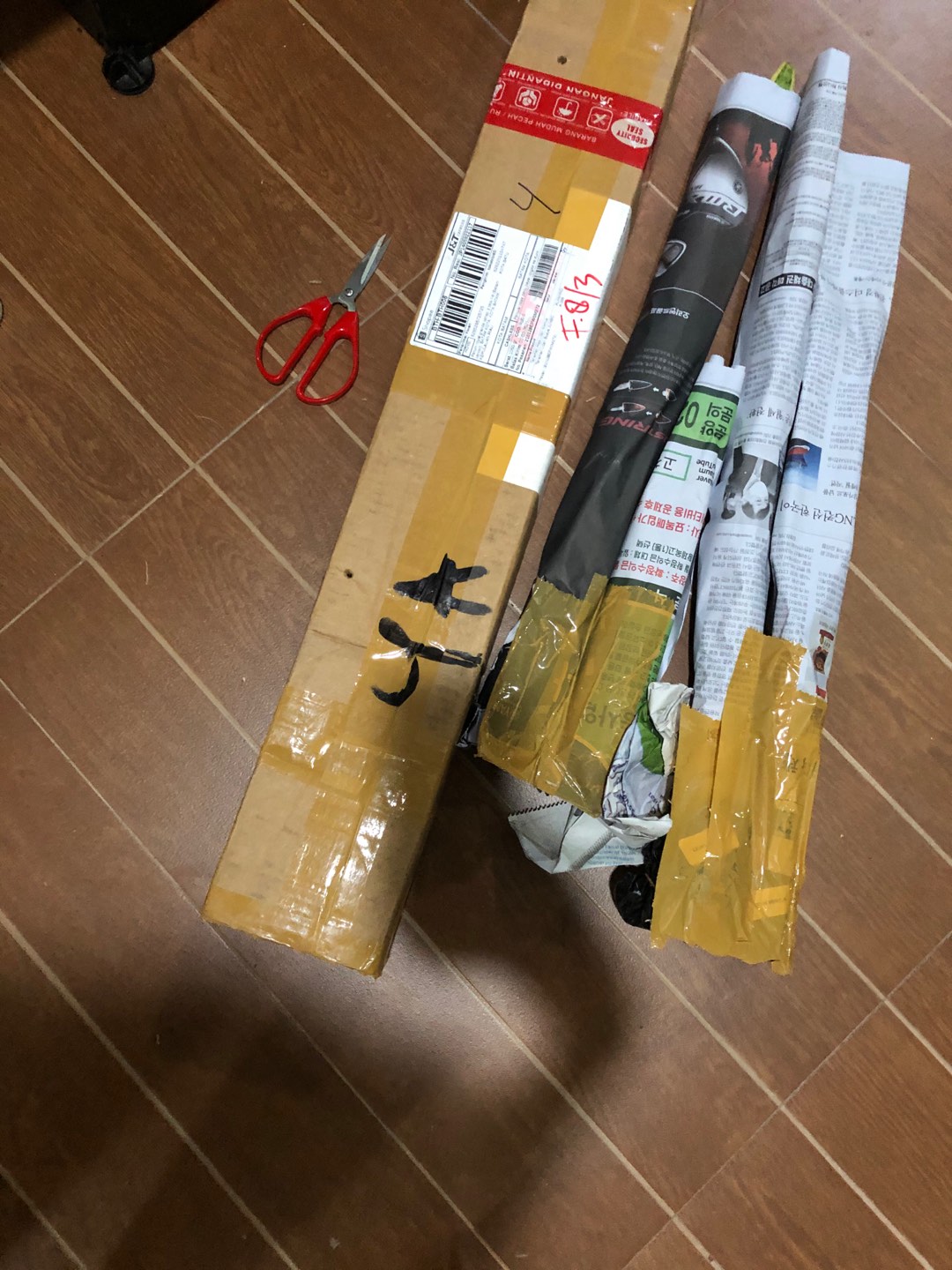 Tanaman Hias Lidah Mertua