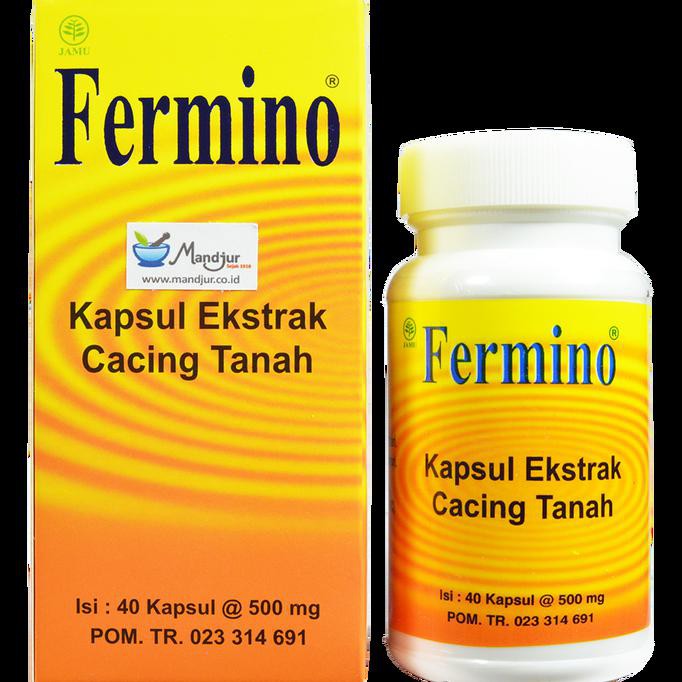 Fermino (Kapsul Ekstrak Cacing Tanah) 40 Kapsul - Obat Tifus >