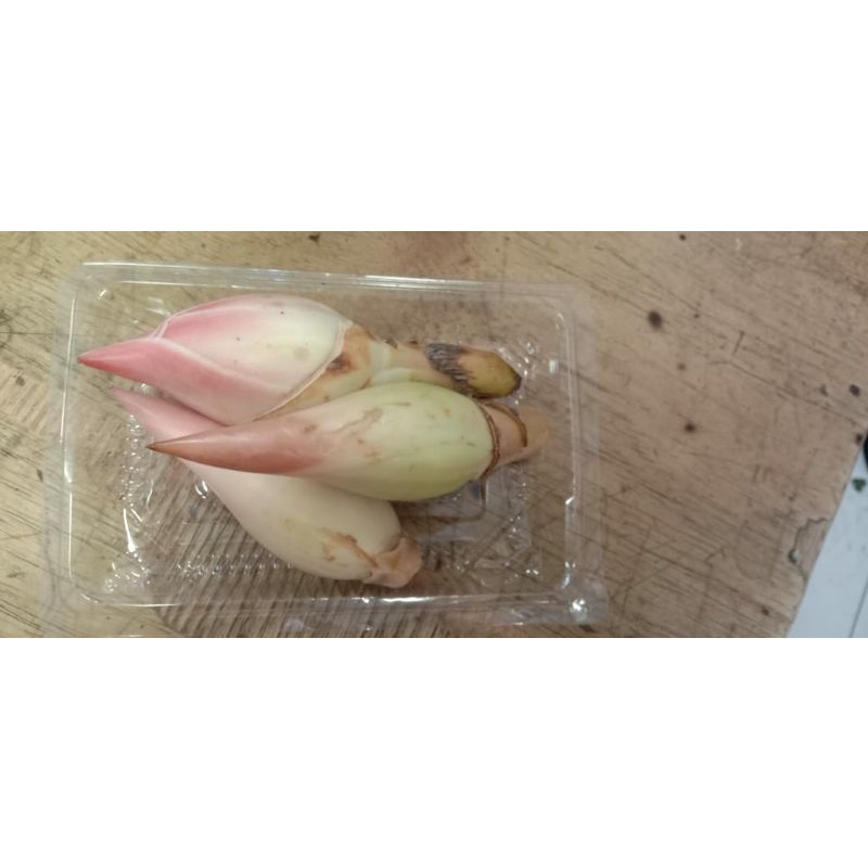 

combrang rias honje