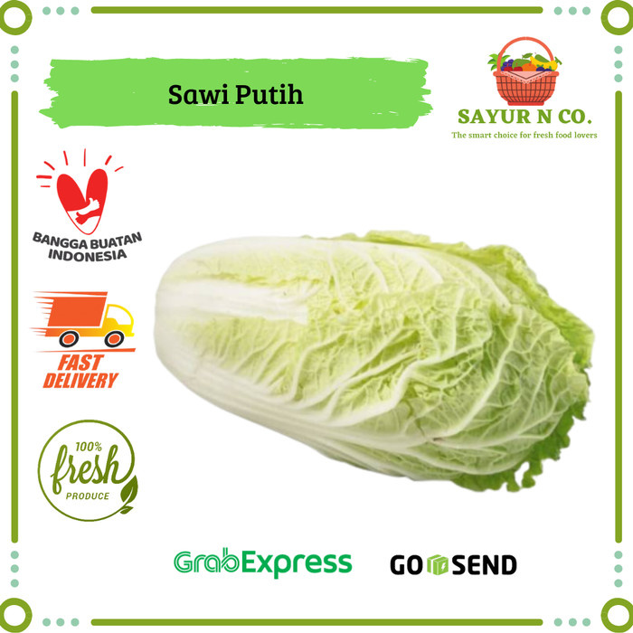 

Sawi Putih | Sayur N Co Bekasi