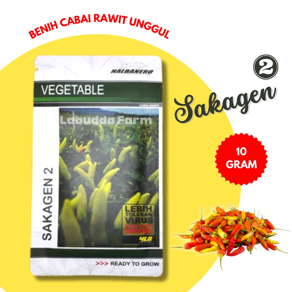 Bibit Cabe Sakagen 2 Unggul Tahan Patek Buah Lebat Kemasan 10gr Original - Bibit Cabe Rawit Unggul -