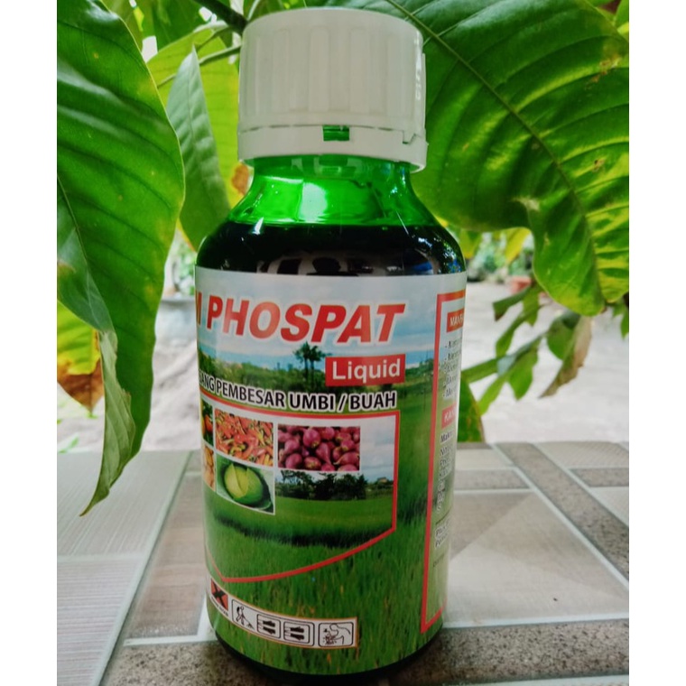 pupuk murah Kalium Phospat Cair Pupuk Kalium Phospate Kalium Phospat Perangsang Umbi dan Buah  500 M