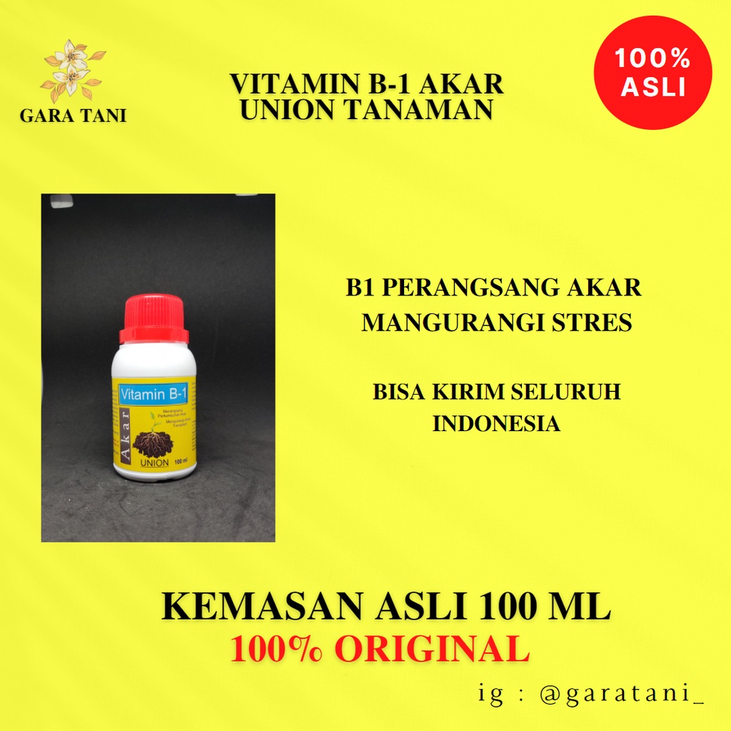 Jual ZPT VITAMIN B1 AKAR UNION PERANSANG AKAR (ISI 100 ML) | Shopee ...