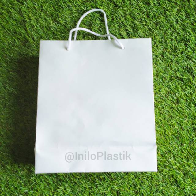 

Paper Bag / Shopping Bag / Goodie Bag 26 x 33 x 7cm @12 Pcs