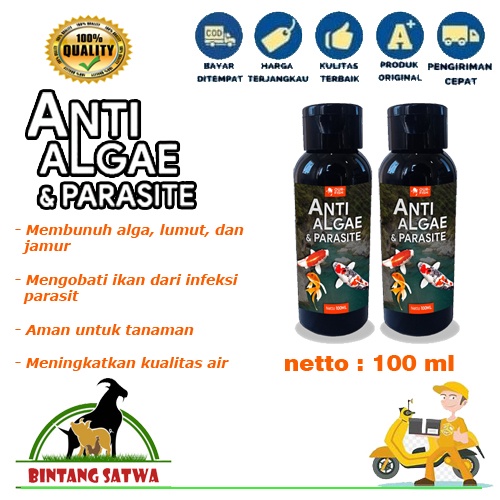 Anti Algae dan Parasit 100 ml Obat Lumut Alga Remover Kolam dan Aquarium