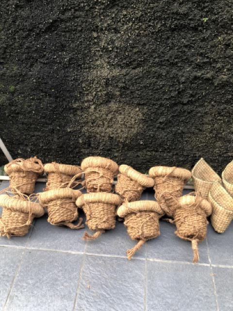 Pot Gantung Pot Serabut Kelapa Sabut Kelapa Pot Anggrek E