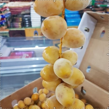 

Kurma Muda isi 1000Gram (khusus Bandung)
