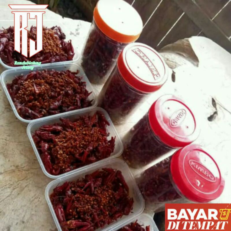 

Belalang goreng walang goreng gurih khas blora hutan jati asli alas kayu jati