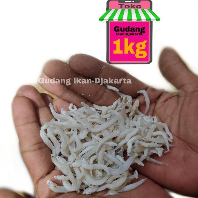 

IKAN ASIN TERI MEDAN TOGE SUPER NETTO-1KG NON COD FCDF6565