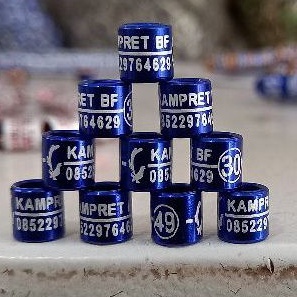 RING BURUNG/GELANG BURUNG/BINGGEL BURUNG/RING BURUNG CUSTOM/RING MURAI/RING KENARI/RING BURUNG MERPA