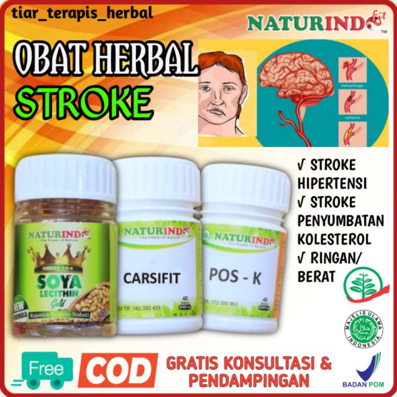 Jual Obat Herbal Stroke Ringan Berat Obat Struk Obat Herbal Stroke Obat
