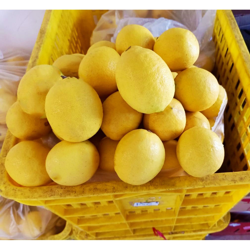 

LEMON KUNING SUPER LOKAL 250 GRAM