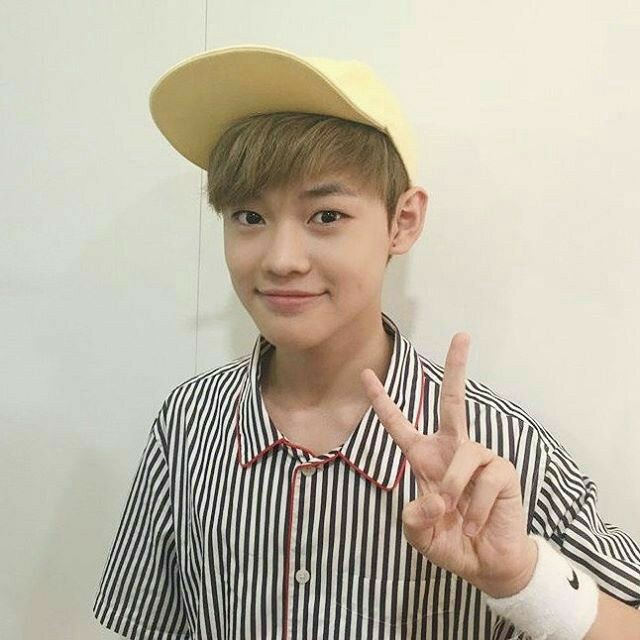 Bedcover Motif Kotak Emily Collection Katun Lokal Elbhe Uk Single| Uk 90x200 |uk 100x200 |uk 120x20