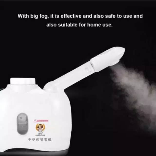 Pafozone portable alat uap wajah mini