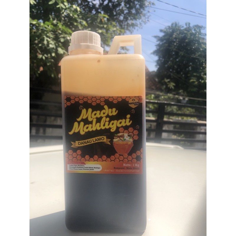 

madu hutan asli