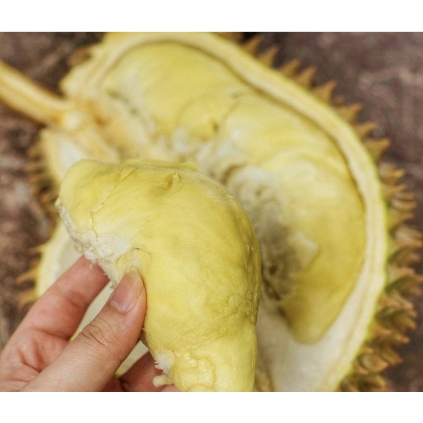 Durian Montong Utuh DIJAMIN MANIS HARGA PER KG (KLIK 2X=1 BUAH)