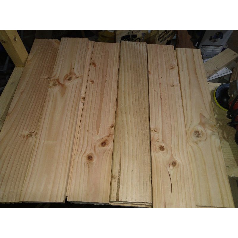 JATI BELANDA SERAT MERAH