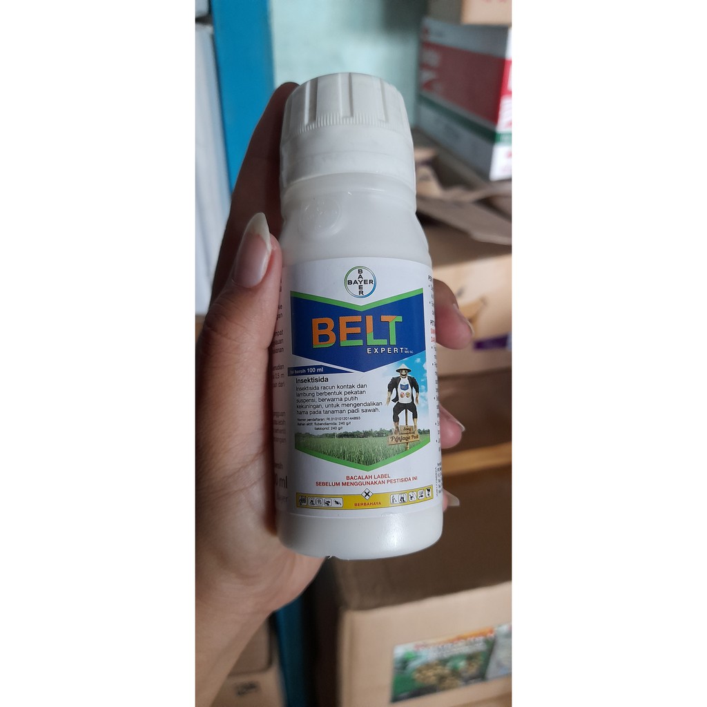 Belt expert 480 SC isi 100 ml Insektisida pestisida