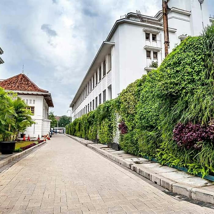 Tanaman hias - vertikal garden - taman outdoor