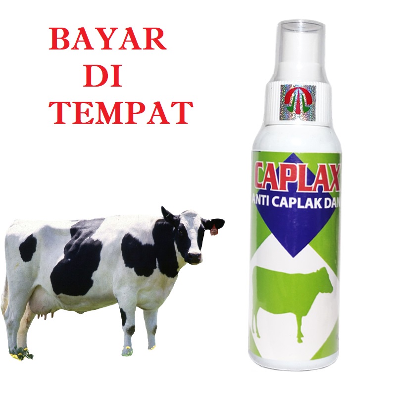 CAPLAX SAPI SPREY  OBAT ANTI KUTU SAPI PEMBASMI PARASIT TUNGAU AMPUH