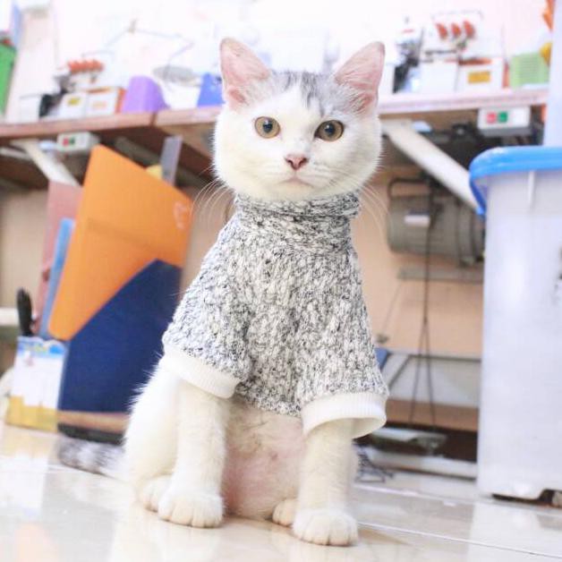 Top Brand Kaos Rajut Polos Untuk Kucing Dan Anjing  Lucu  